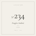 L’Atelier Doré N°234 – Fougère Ambrée, parfum 75 ml